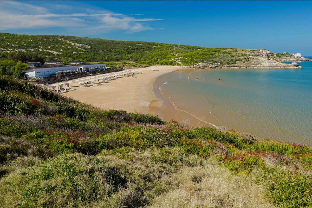 Gusmay Beach Resort, un gioiello incastonato tra Peschici e Vieste Gusmay Beach Valtur acquisisce lo storico Gusmay Beach sul Gargano. Obiettivo? Fare un resort a 5 stelle